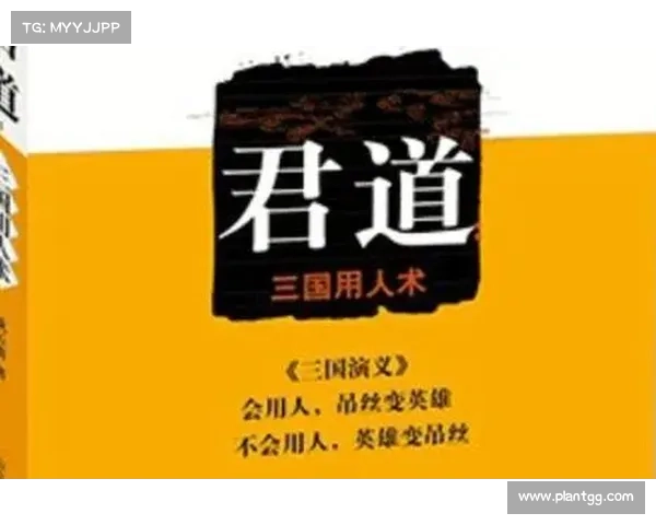 最强三国:技能书掌握之道 最强三国:技能书掌握之道