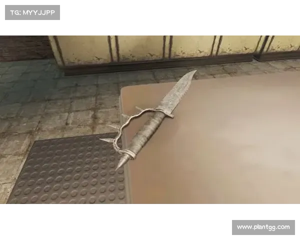 辐射3:玩转武器皮肤,个性定制新体验 辐射3:玩转武器皮肤,个性定制新体验