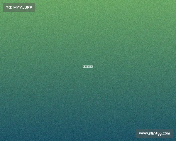 热情拥抱的意思 热情拥抱的意思