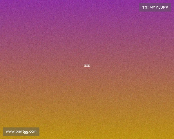 浪客电商 浪客电商