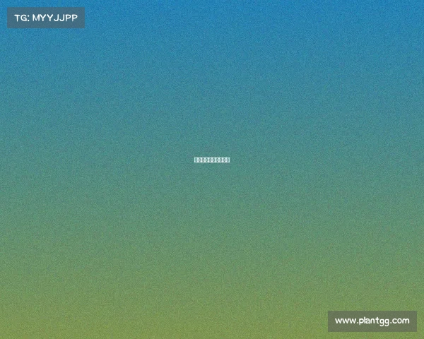 电子竞技场馆建设标准