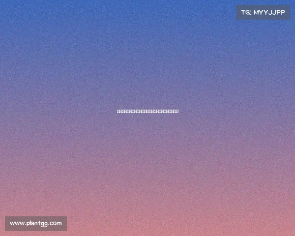 电子竞技容貌要求有哪些、电子竞技容貌要求有哪些方面