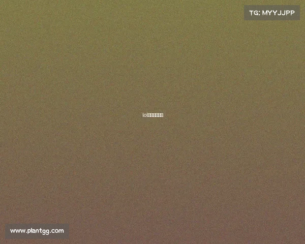 lol电竞选手年薪