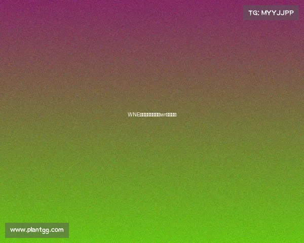 WNE电子竞技俱乐部、wr电子竞技 WNE电子竞技俱乐部、wr电子竞技