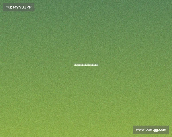 《毫秒定胜负：电竞背后的隐形杀手》