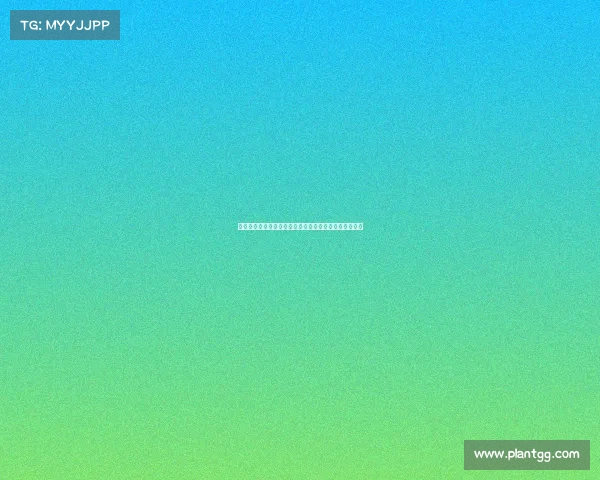 中国电竞产业获国家层面认可，政策驱动迈向规范化发展