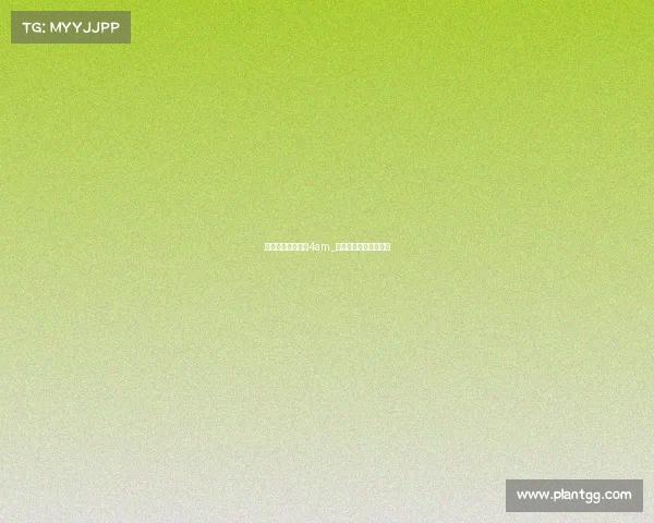 全国电子竞技大赛4am_全国电子竞技大赛官网