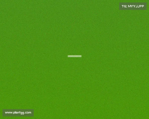 浙商银行电商平台事业部