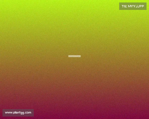 电子游戏是竞技项目吗