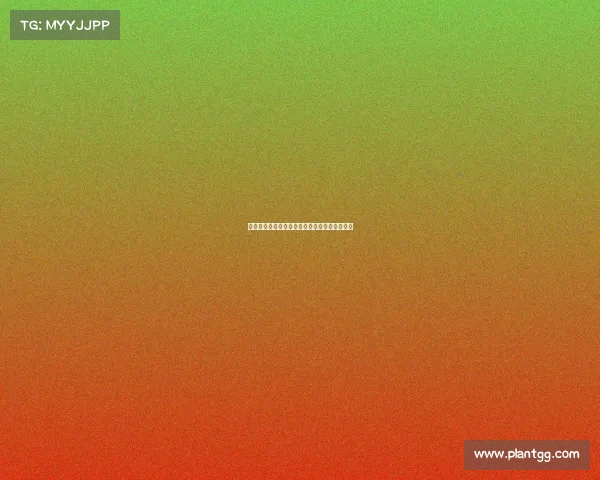 电子竞技老教练年龄、电子竞技老教练年龄限制