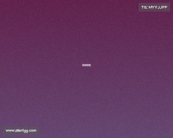 蜘蛛电竞介绍 蜘蛛电竞介绍